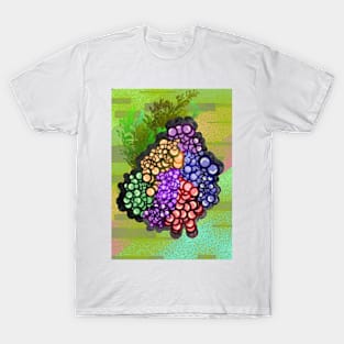 colored grapes T-Shirt